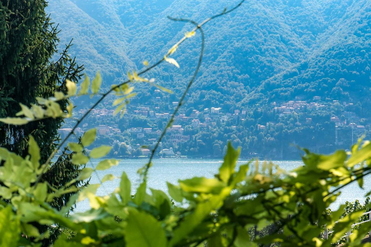 Villa Vittoria - The House Of Travelers Cernobbio Eksteriør bilde